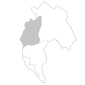 Barbaresco