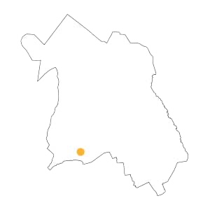 Basarin