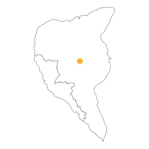 Bernadot