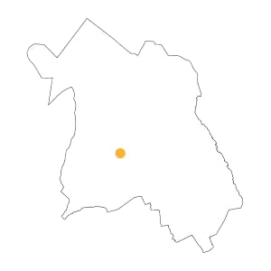 Fausoni