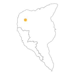 Manzola