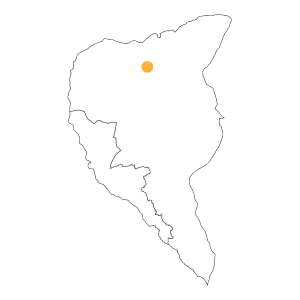 Marcarini