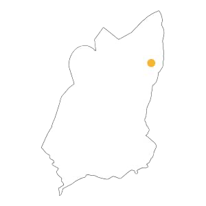 Montefico