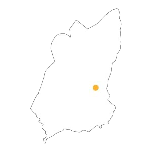 Muncagota