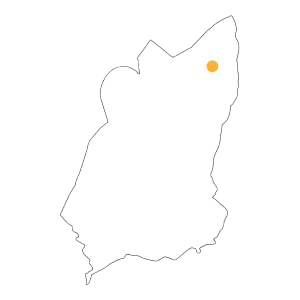 Ovello
