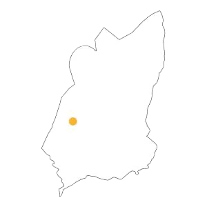 Pora