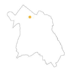 Starderi